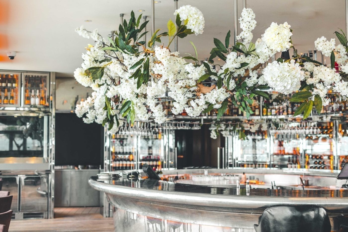 Be our little guest at Angelica